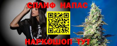 PSILOCYBIN Малгобек
