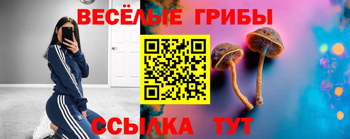 Псилоцибиновые грибы MAGIC MUSHROOMS Великий Устюг