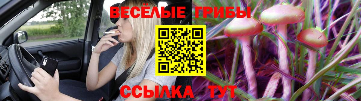 Великий Устюг  Галлюциногенные грибы мицелий  Вход с VPN  Галлюциногенные грибы мицелий 